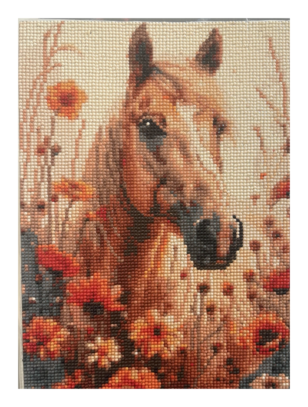 Diamond paintings